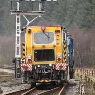 N Y Moors  (158).jpg