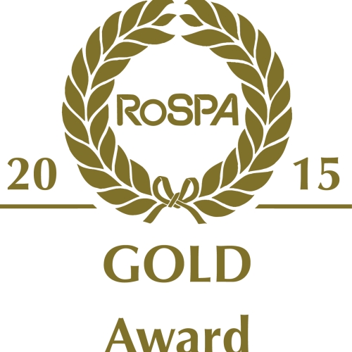 gold award 2015.jpg