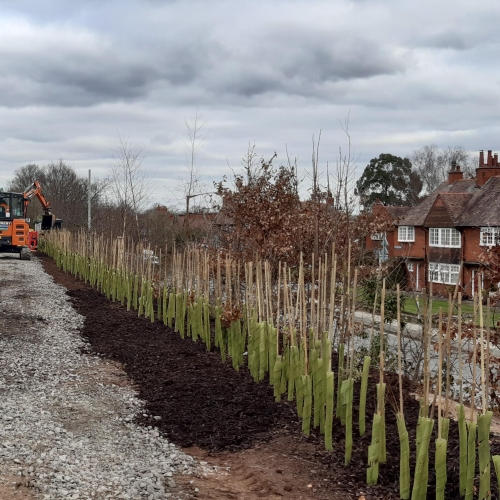 MicrosoftTeams-image (7).png