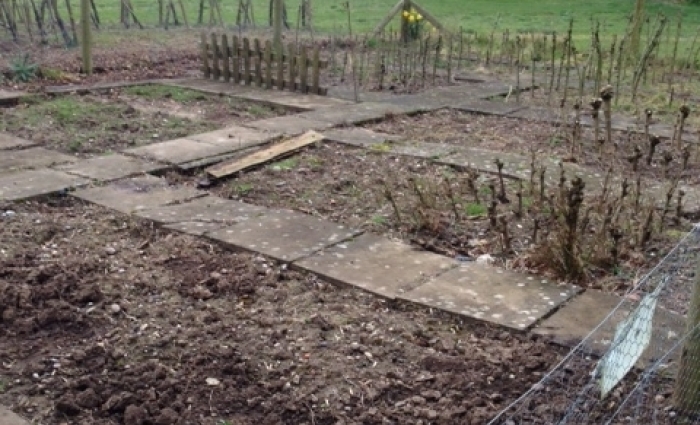 Walton Hall picture 2.JPG