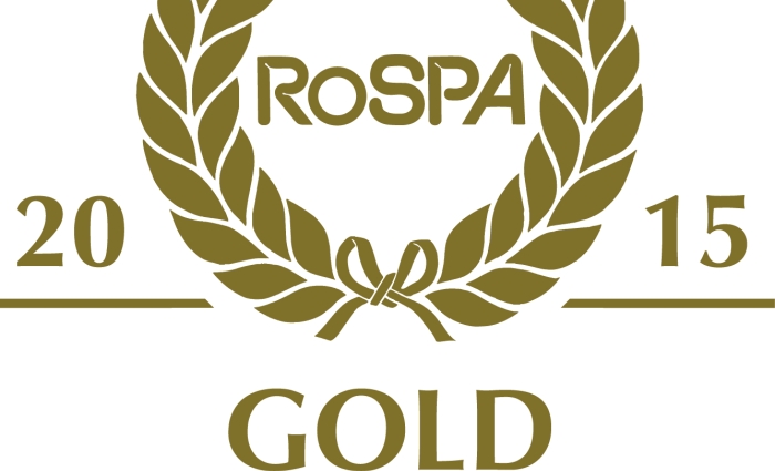 gold award 2015.jpg