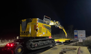 A Colmar with rhino horn