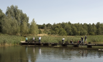 Brockholes Nature Reserve volunteering activity (51).jpg