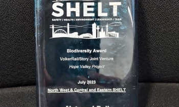 MicrosoftTeams-image (3).png