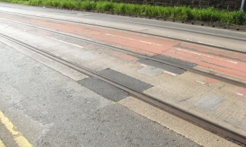 white lane fox lane.jpg