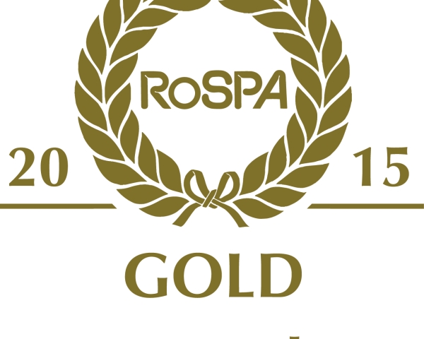 gold award 2015.jpg
