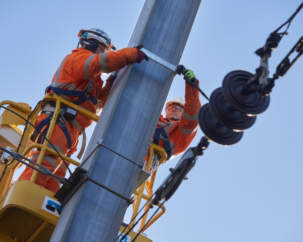 Potters Bar and Wood Green 3.jpg