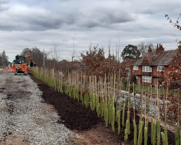 MicrosoftTeams-image (7).png