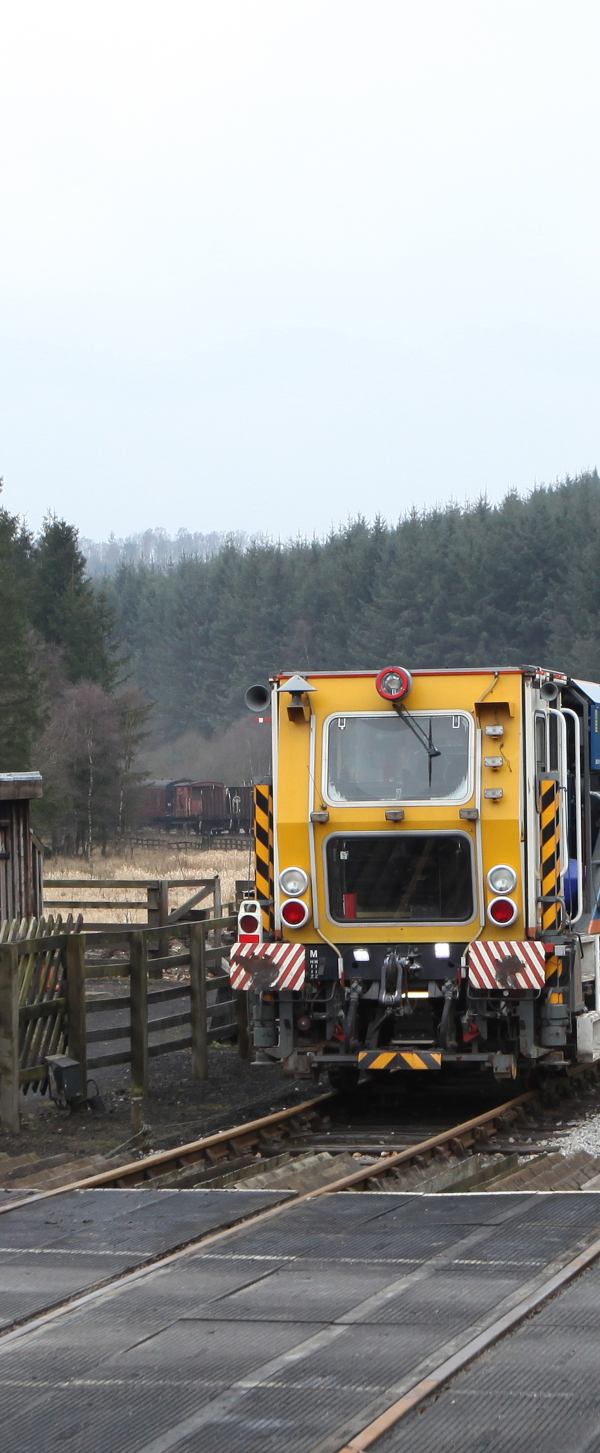 N Y Moors (84).jpg