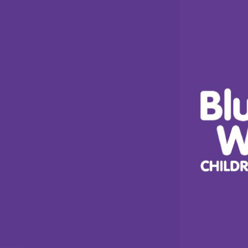 Bluebell Wood Children's Hospice logo