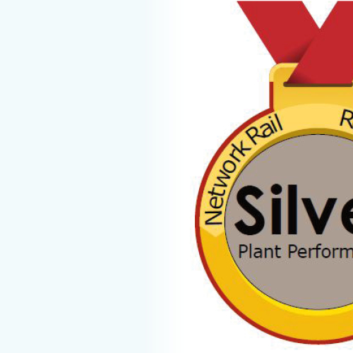 Silver medal