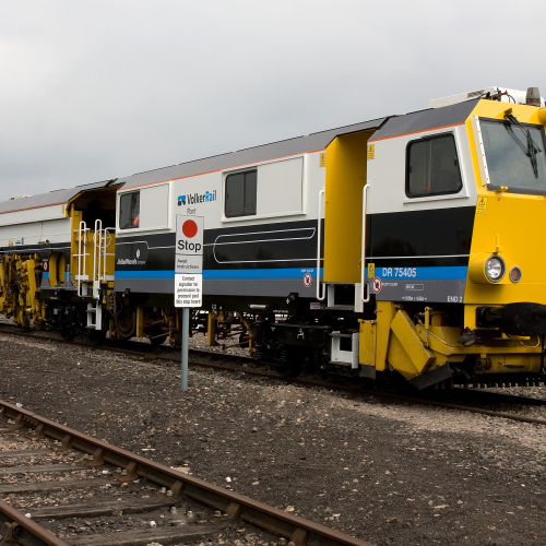 B41 plant (8).jpg