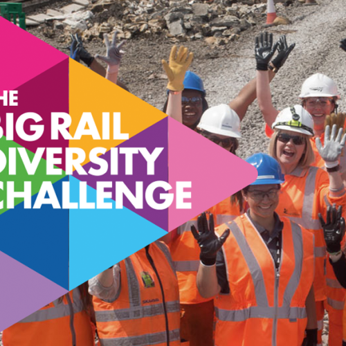 the%20big%20rail%20diversiy%20challenge%20web.png