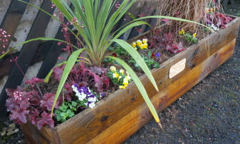 new flower planters at Bedale station