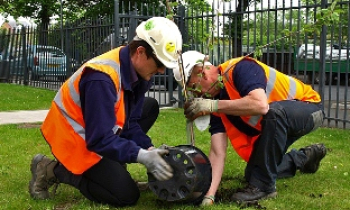 planting 2.jpg