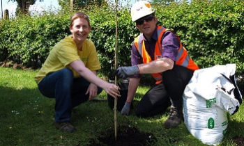 planting 3.jpg
