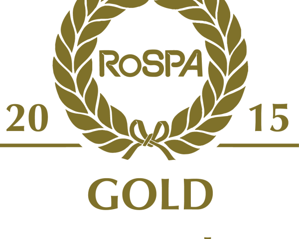 gold award 2015.jpg